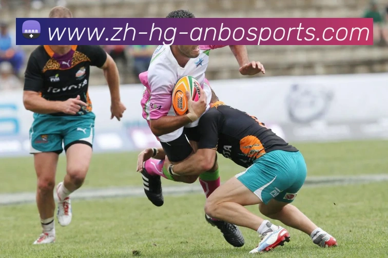 安博体育平台生态图